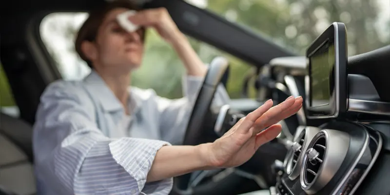 Hitzestau im Auto