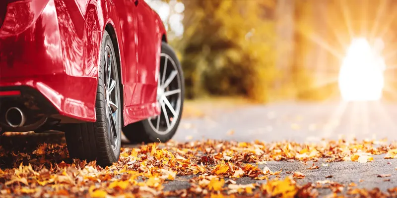 Herbst als guter Zeitpunkt das Auto zu verkaufen