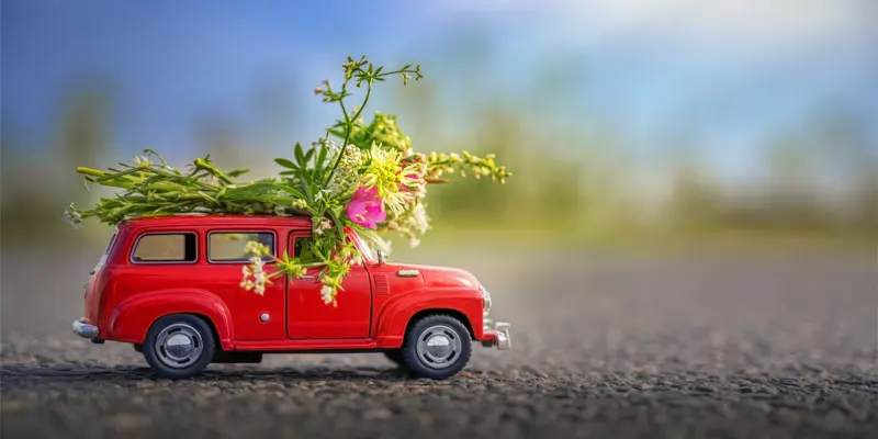 So machen Sie Ihr Auto fit für den Frühling