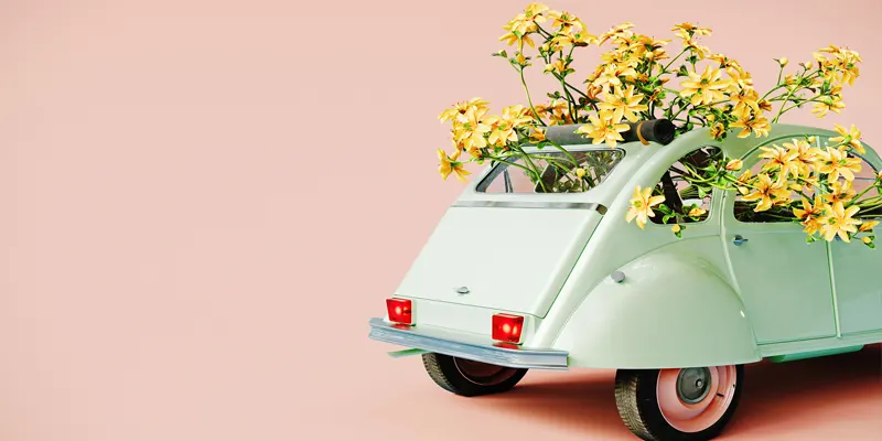 Automarkt im Frühling